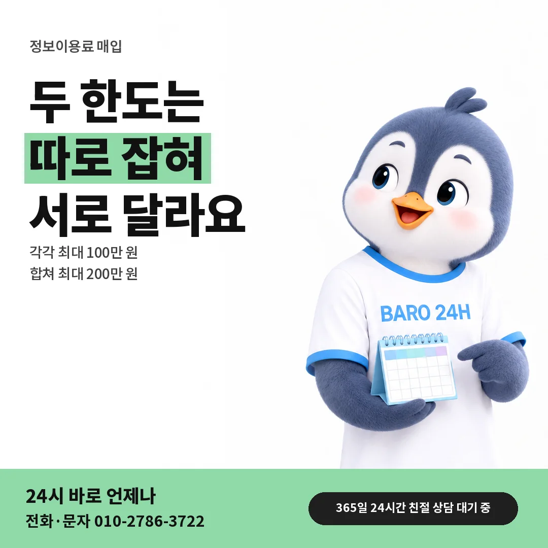 BARO 24H 티셔츠를 입은 3D 동물 캐릭터 옆에 「소액결제 한도와 따로」 제목을 얹은 안내 카드